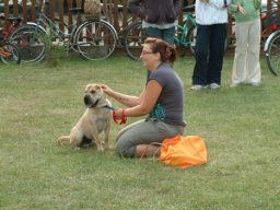 2008 - Styevák János
