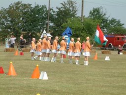 2008 - Styevák János
