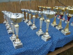 2008 - Styevák János