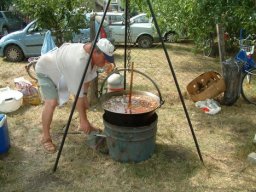 2008 - Styevák János