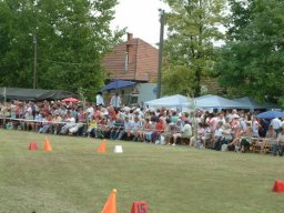 2008 - Styevák János