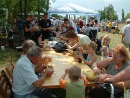 2008 - Styevák János