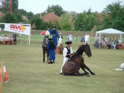 2008 - Styevák János