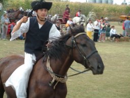2008 - Styevák János
