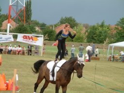 2008 - Styevák János