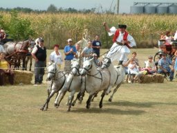 2008 - Styevák János