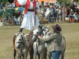 2008 - Styevák János