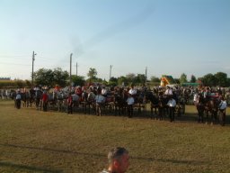 2008 - Styevák János