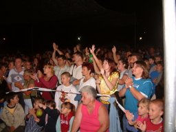 2008 - Styevák János