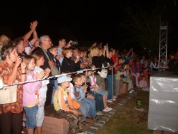 2008 - Styevák János