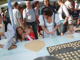 2008 - Styevák János