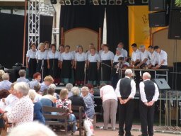 2008 - Styevák János