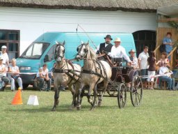 2008 - Styevák János