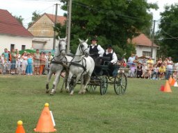 2008 - Styevák János