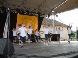 2008 - Styevák János