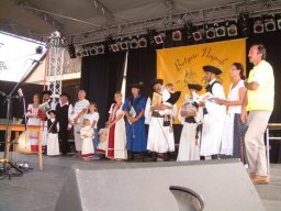 2008 - Styevák János