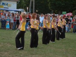 2008 - Styevák János