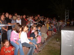 2008 - Styevák János