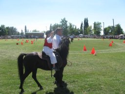 2010