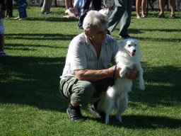 2010 - Styevák János képei 