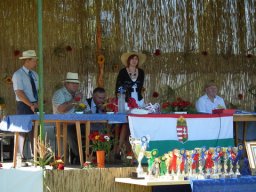 2010 - Styevák János képei 