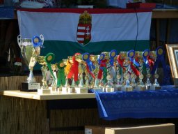 2010 - Styevák János képei 