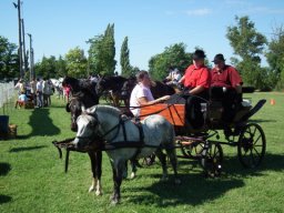 2010 - Styevák János képei 
