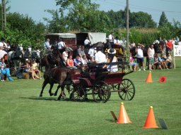 2010 - Styevák János képei 