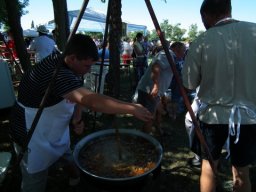 2010 - Styevák János képei 