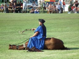 2010 - Styevák János képei 