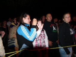 2010 - Styevák János képei 