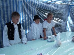 2010 - Styevák János képei 