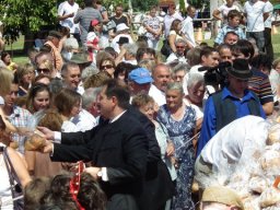 2010 - Styevák János képei 