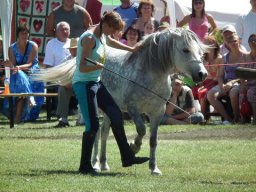 2010 - Styevák János képei 