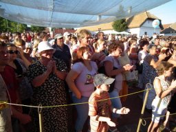 2010 - Styevák János képei 