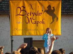 2010 - Styevák János képei 