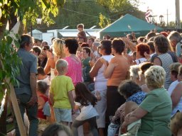 2010 - Styevák János képei 