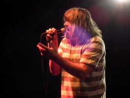 2010 - Styevák János képei 