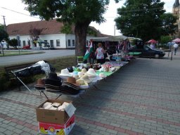 2010 - Styevák János képei 