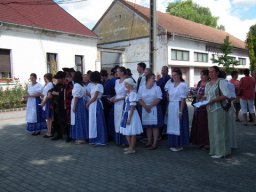 2010 - Styevák János képei 