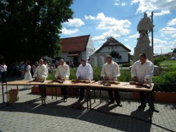 2010 - Styevák János képei 