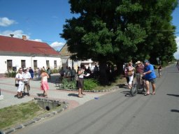 2010 - Styevák János képei 
