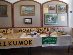 2010 - Styevák János képei 