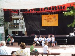 2010 - Styevák János képei 