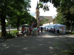 2010 - Styevák János képei 