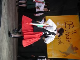 2010 - Styevák János képei 