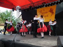2010 - Styevák János képei 