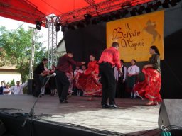 2010 - Styevák János képei 