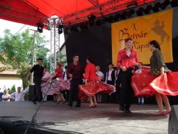 2010 - Styevák János képei 