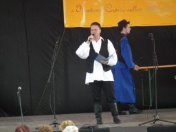 2010 - Styevák János képei 